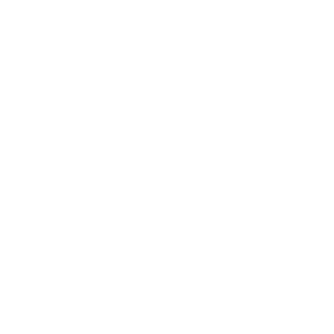 Icono 4